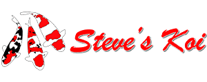 steves-koi